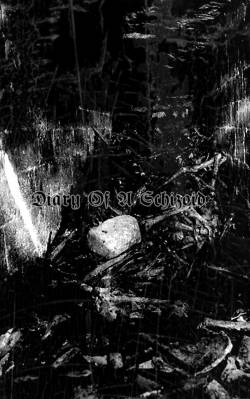 Lueur Spectrale : Diary of a Schizoid